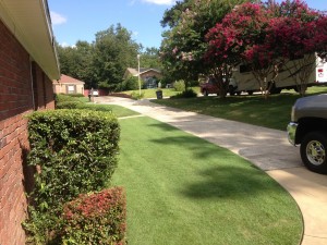 image[13]