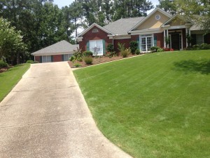 image[8]